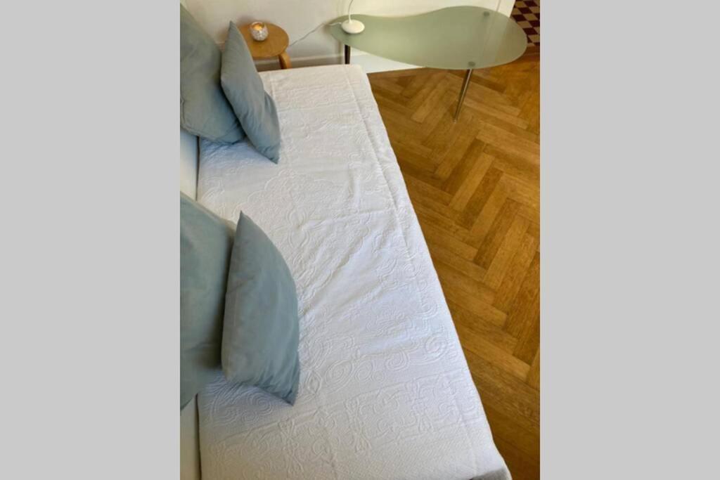 Parking & Appartement 2 Pieces Sans Traffic Lausanne Kültér fotó