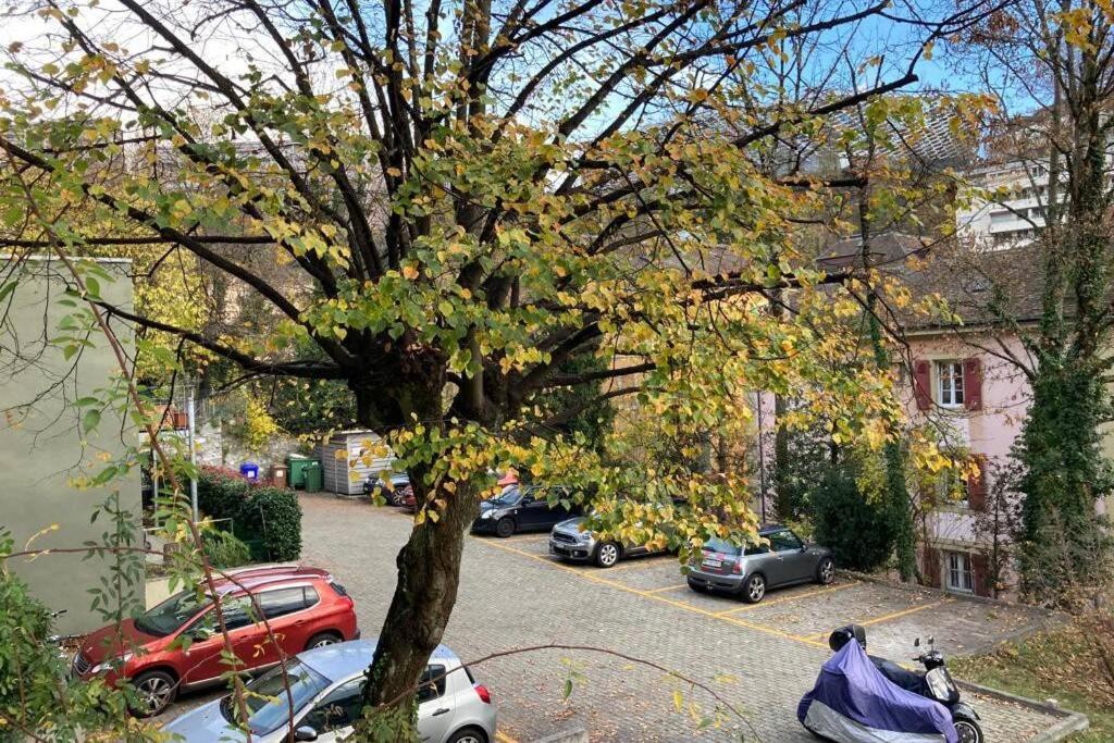 Parking & Appartement 2 Pieces Sans Traffic Lausanne Kültér fotó